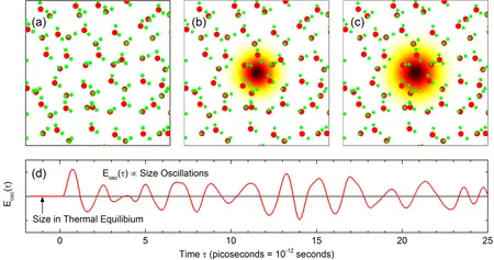 Fig. 1. Cartoon of an oscillating polaron in liquid water © MBI