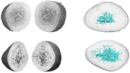 Nanotomographischen Aufnahmen eines LRTMO-Teilchens vor dem ersten Ladezyklus und nach 10 Ladezyklen © HZB