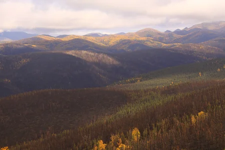 Vast, wooded hilly countryside