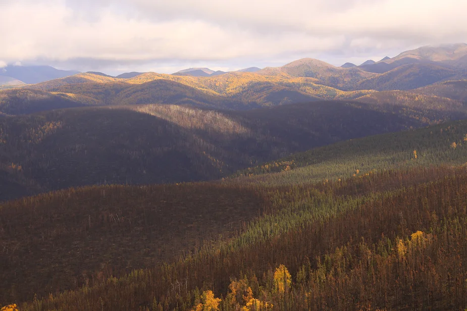Vast, wooded hilly countryside