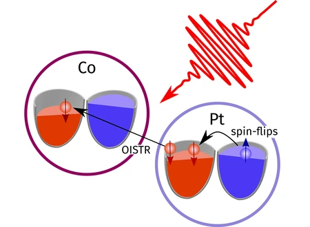 Elektronenreservoirs von magnetischen Atomen © MBI Berlin