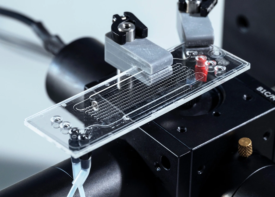 Transparent chip with milled channels.