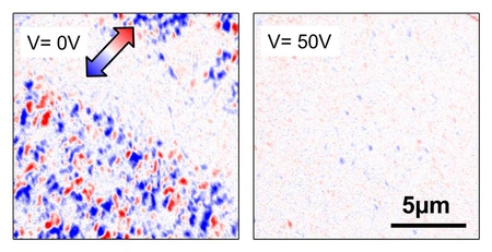 XMCD-PEEM Bilder zeigen, wie eine elektrische Spannung die magnetische Ordnung verändert. Ohne äußeres, elektrisches Feld (0 V) dominiert die ferromagnetische Ordnung (blaue und rote Punkte). Mit einem äußeren elektrischen Feld (50 V) ist die Probe a. Bilder: HZB