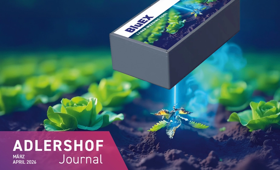 Visualisation of a laser system that directs a laser beam at a stinging nettle growing among lettuce plants.