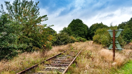 Ungenutzte Bahnschienen, von Gras überwuchert