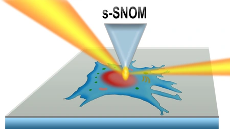 Darstellung einer Zelle, die mit Mikroskopstrahl untersucht wird