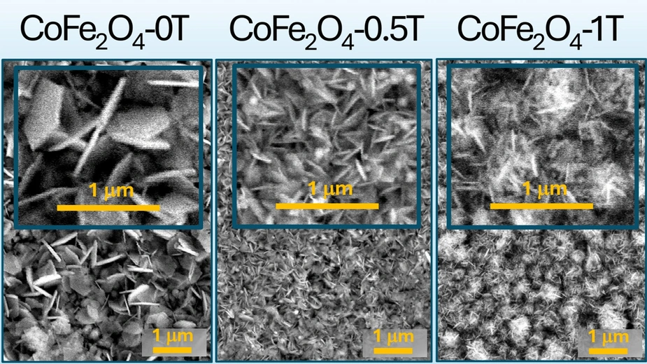 Verschiedene Materialstrukturen bei 1µm Auflösung