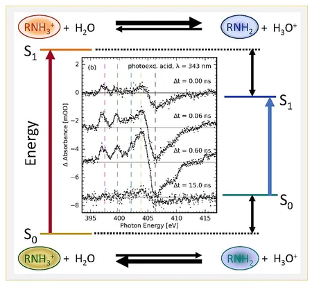 Fig. 1: Förster cycle of an amine photoacid © MBI