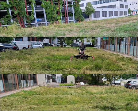 Collage aus Fotos von Wiesenflächen
