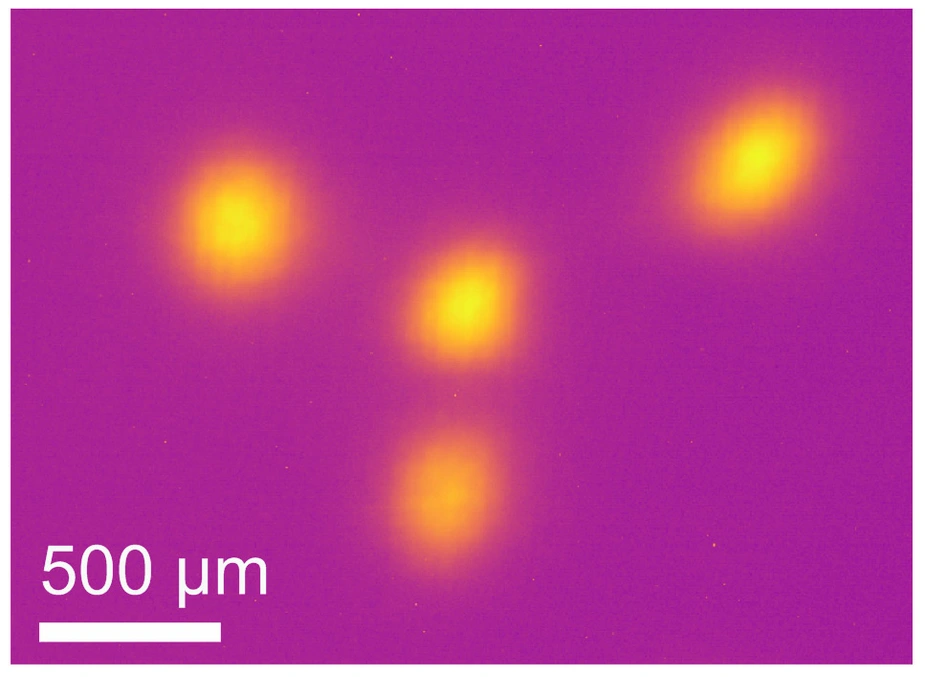 X-ray image of the electron beam in TRIB-mode © F. Armborst/K. Holldack