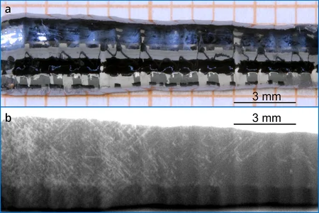 Photograph of an investigated Si crystal © IKZ